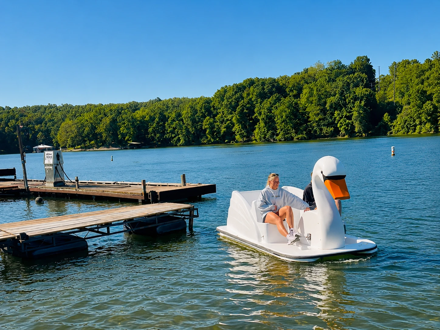 Swan Pedal Boats