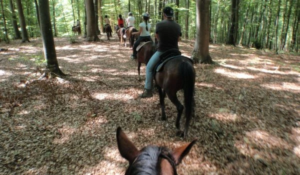 Horseback Riding